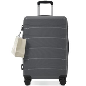24" Expandable Hardside Checked Luggage with TSA Lock - gray