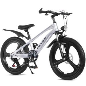 20" Lightweight Kids Mountain Bike - 7 Speed - Silver