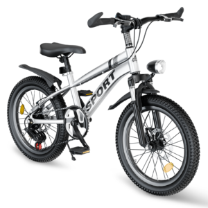 20" Kids Mountain Bike with 7 Speeds and Dual Disc Brakes - Silver