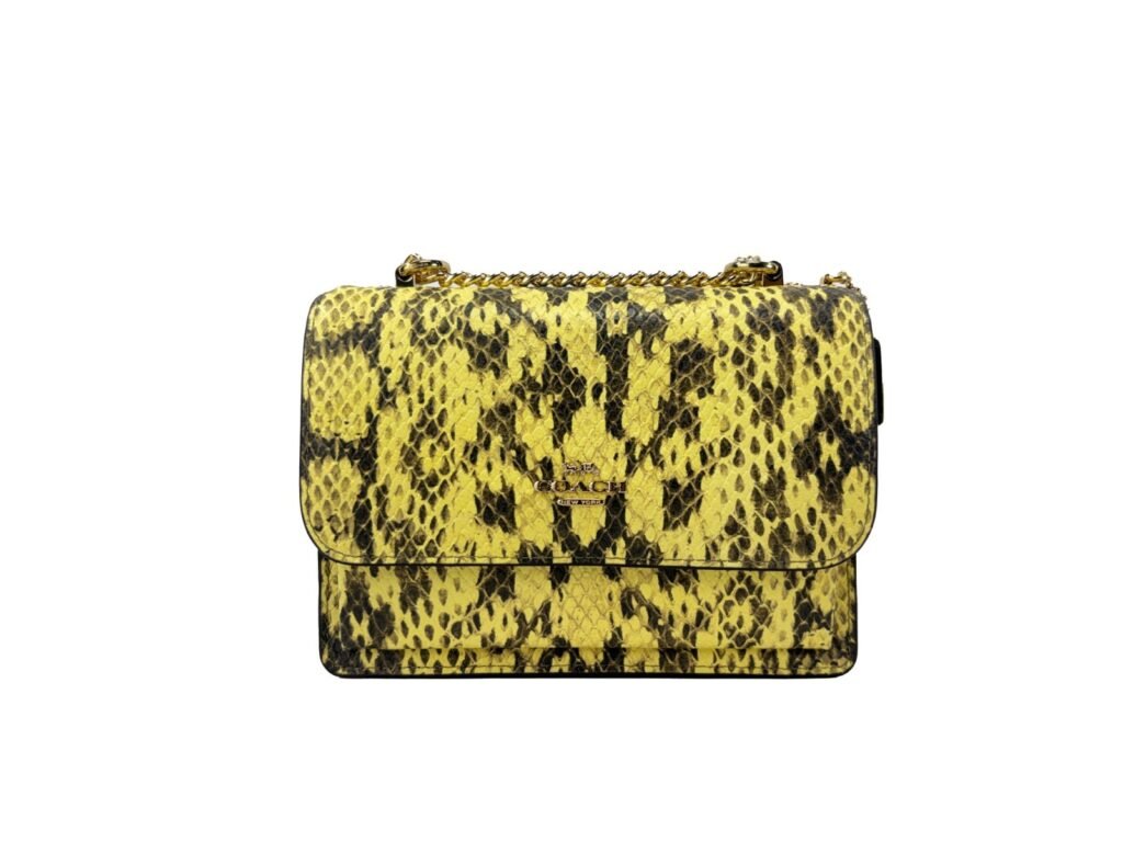 COACH Coach Mini Klare Leather Crossbody Bag